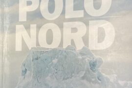 polo nord